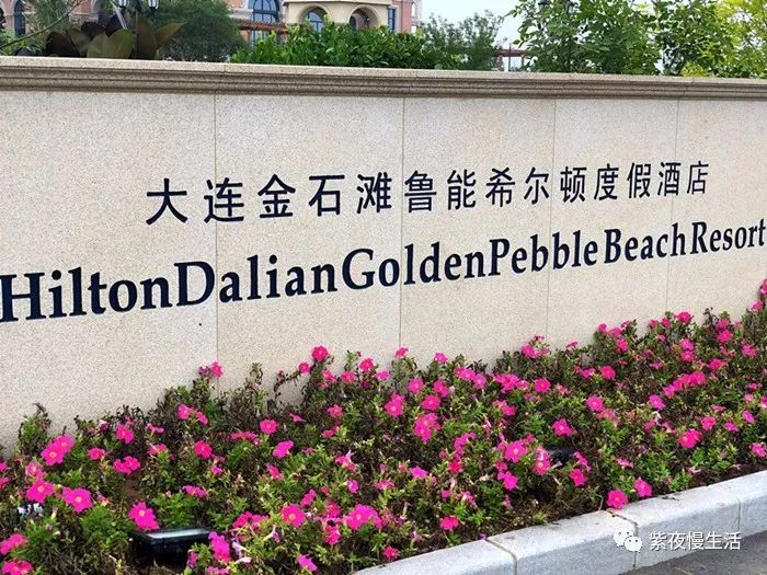 星海希尔顿海景,大连希尔顿酒店海景房