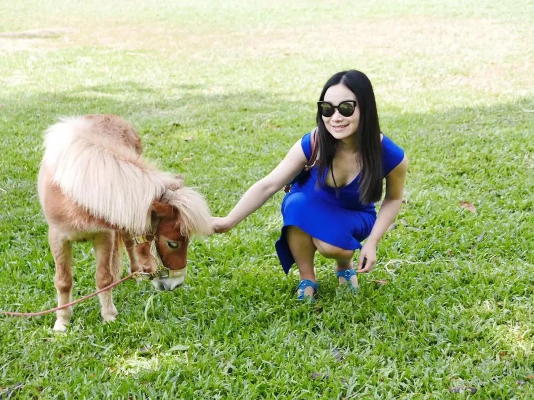 泰国清迈泼水节英文,泰国清迈泼水节自驾游