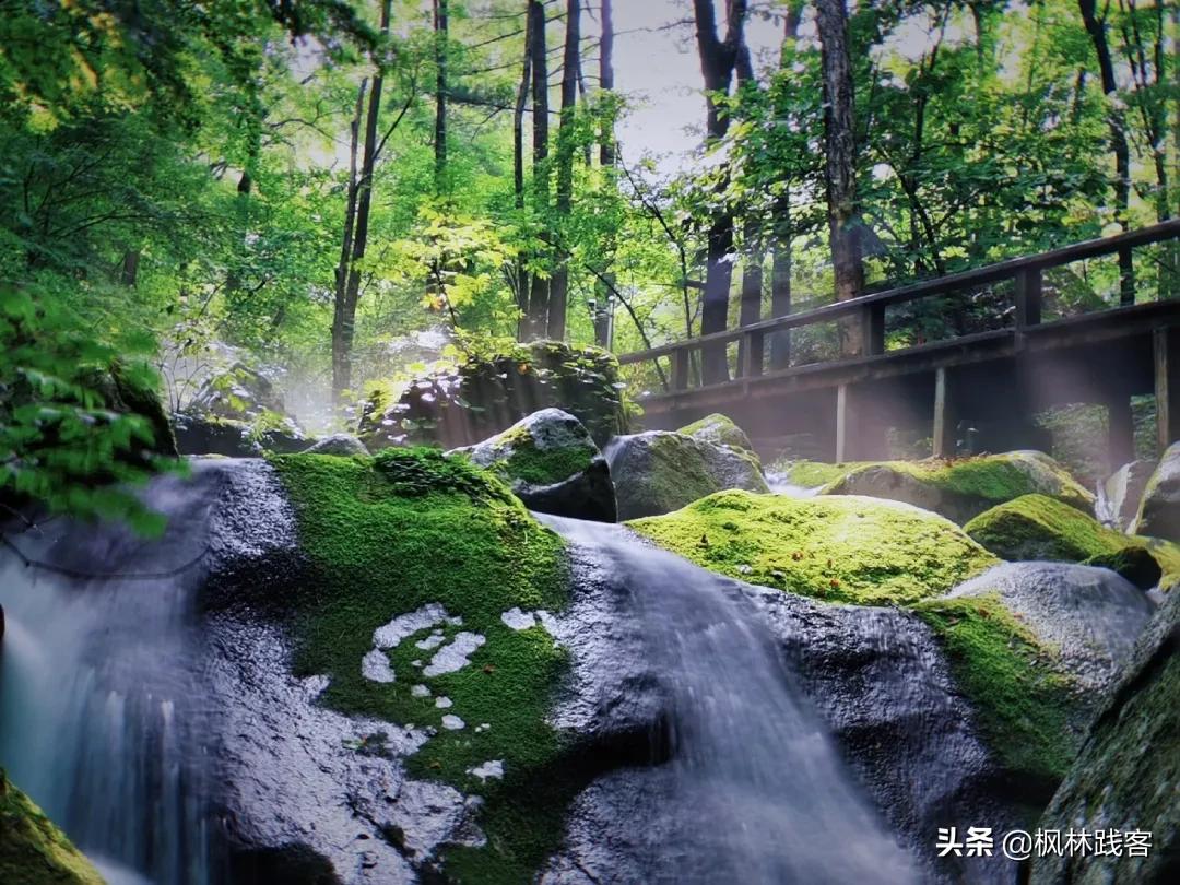 巴威台风本溪,台风巴威长白山