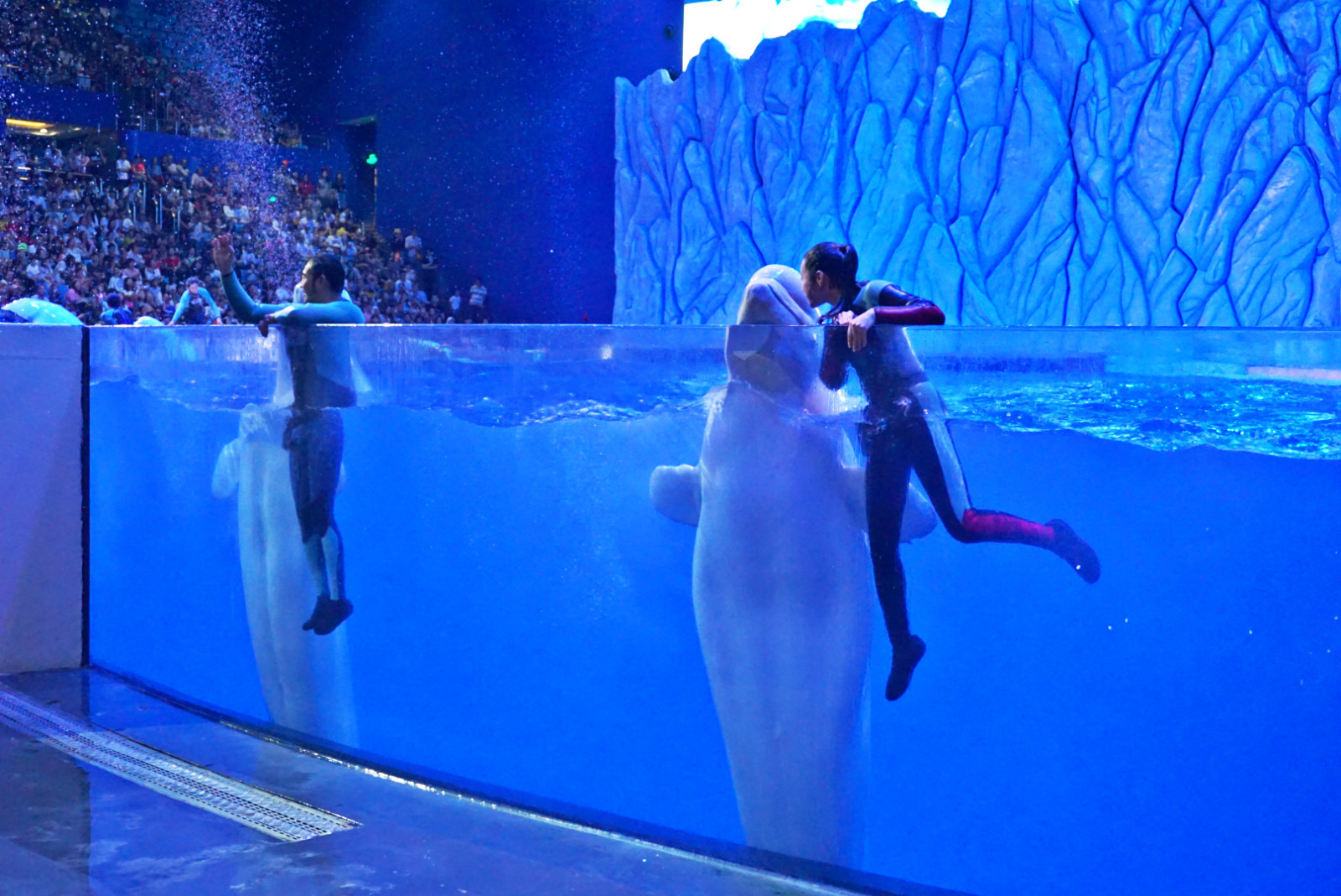 常州恐龙园和珠海长隆哪个好玩,珠海长隆海洋王国好玩吗