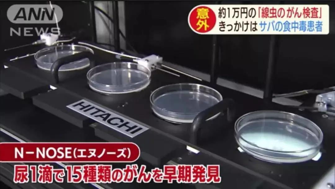 乳腺癌检测报告哪个准确,乳腺癌筛查结果绿色