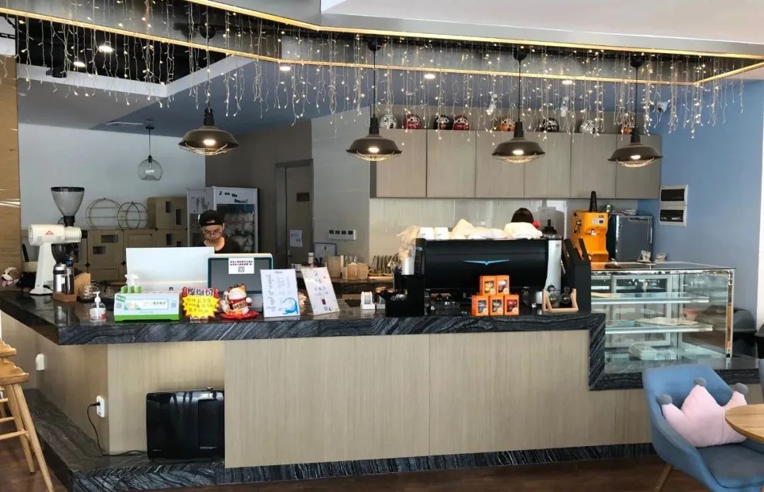 欢迎同行入内,这是一家为宠物店而开的宠物