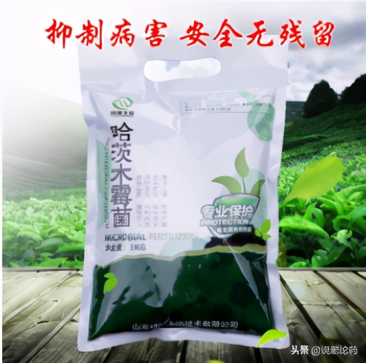 西瓜使用复合微生物肥,西瓜微生物菌剂肥料怎么用