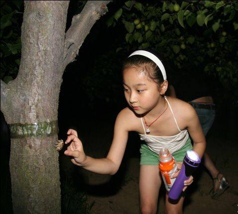 绿源山水一日游,绿源山水有什么好玩的