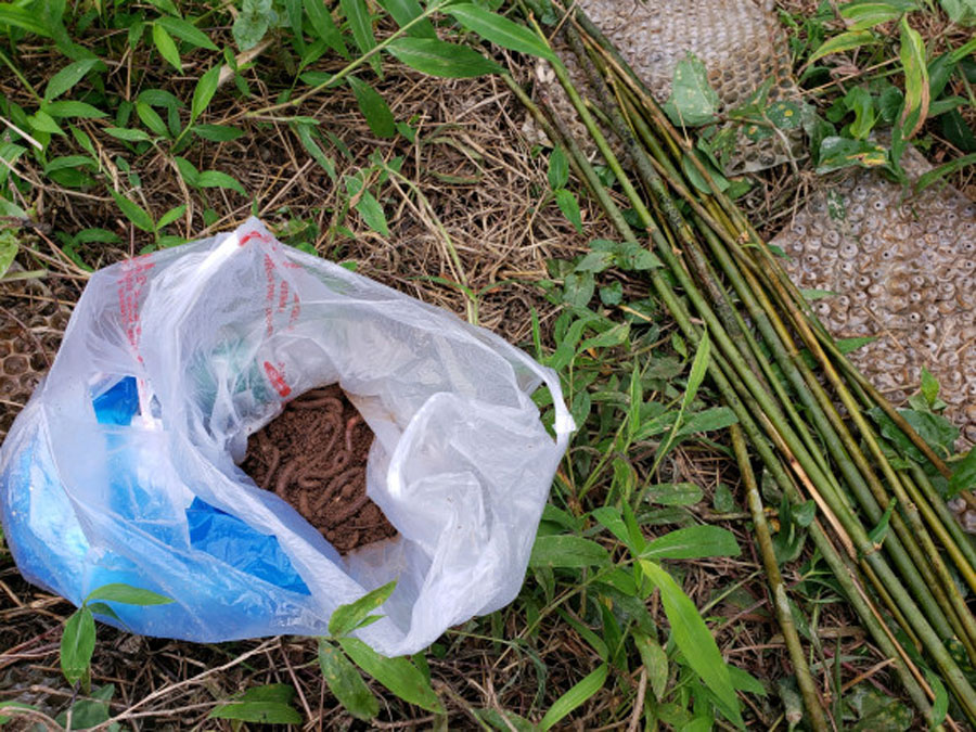 夜钓小河七星漂,夜钓小河沟用路亚