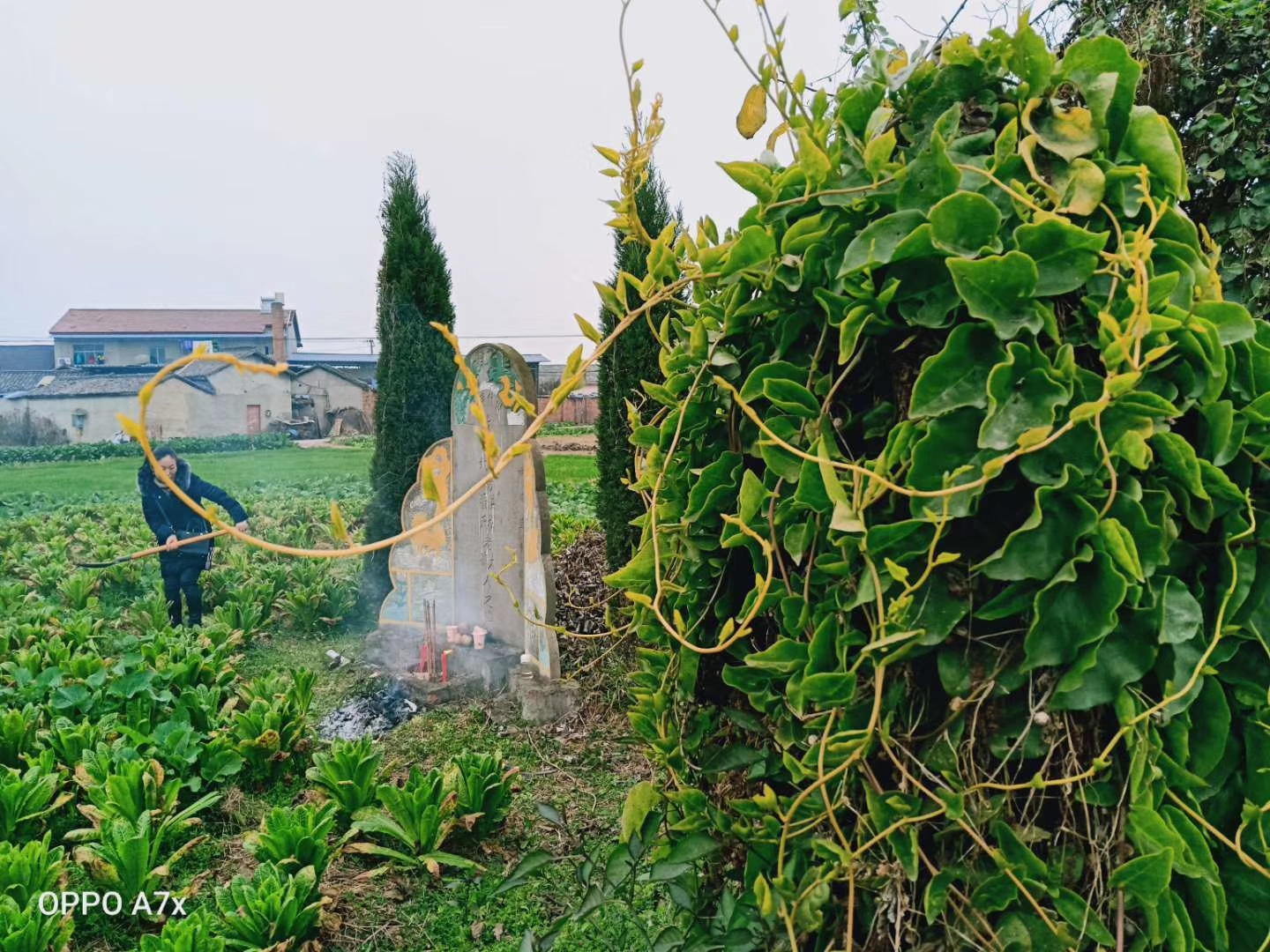 缅怀周爷爷文章,周元邠是哪里人