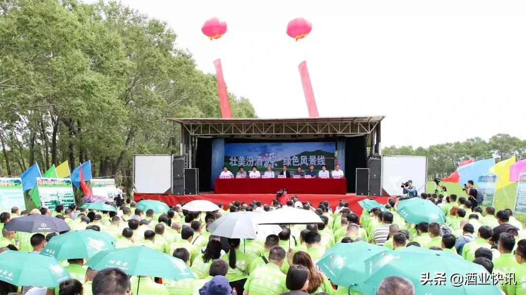 一颗麻豆豆,绿动汾酒