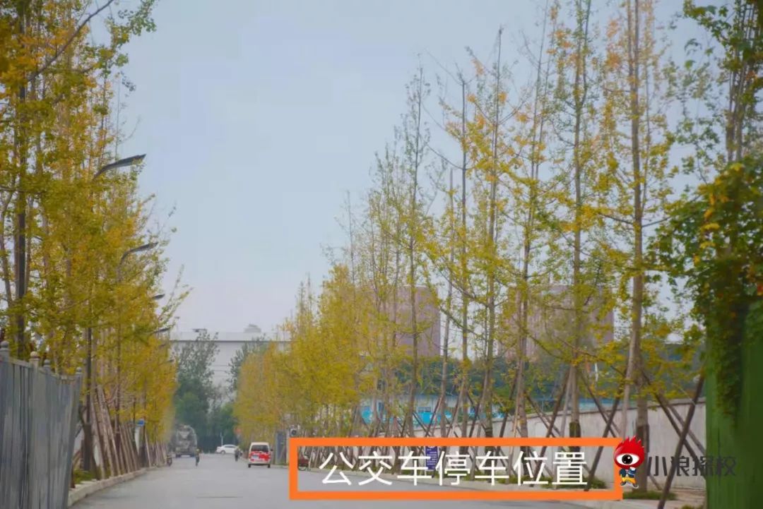 小浪探校实验,小浪探校华阳中学