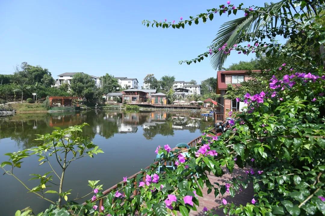 厉害了我的国中兴事件,厉害了我的国相关事件是哪一期