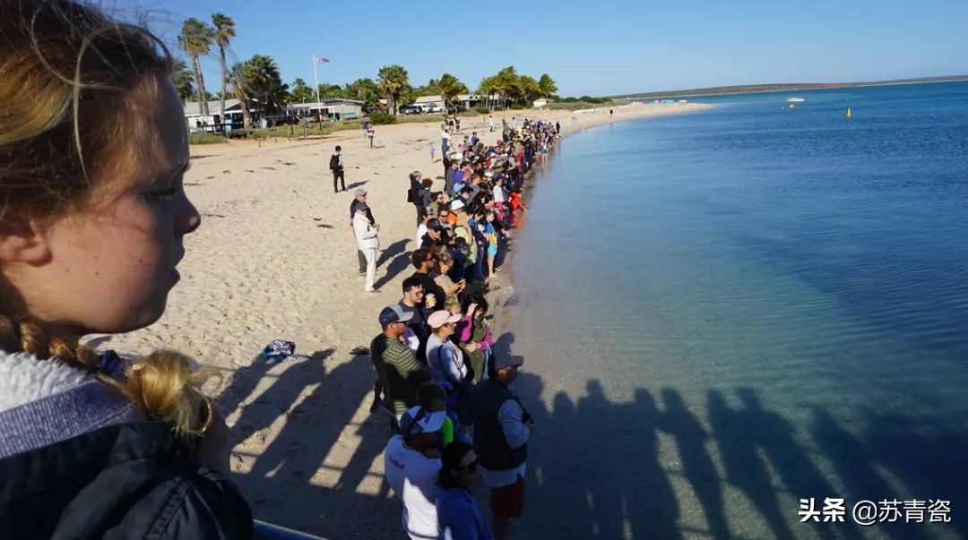 只知道大堡礁？澳大利亚还有这个冷门景点，美得不像地球