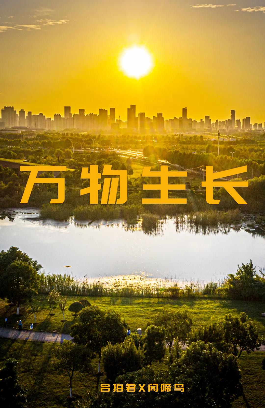 合肥融创茂宝藏秘境,合肥宝藏地