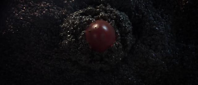 看完之后再也不想吃草莓了,看完你可能不想吃草莓了