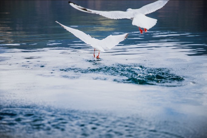 消失的地平线上的“香巴拉”和“女儿国”（二）
