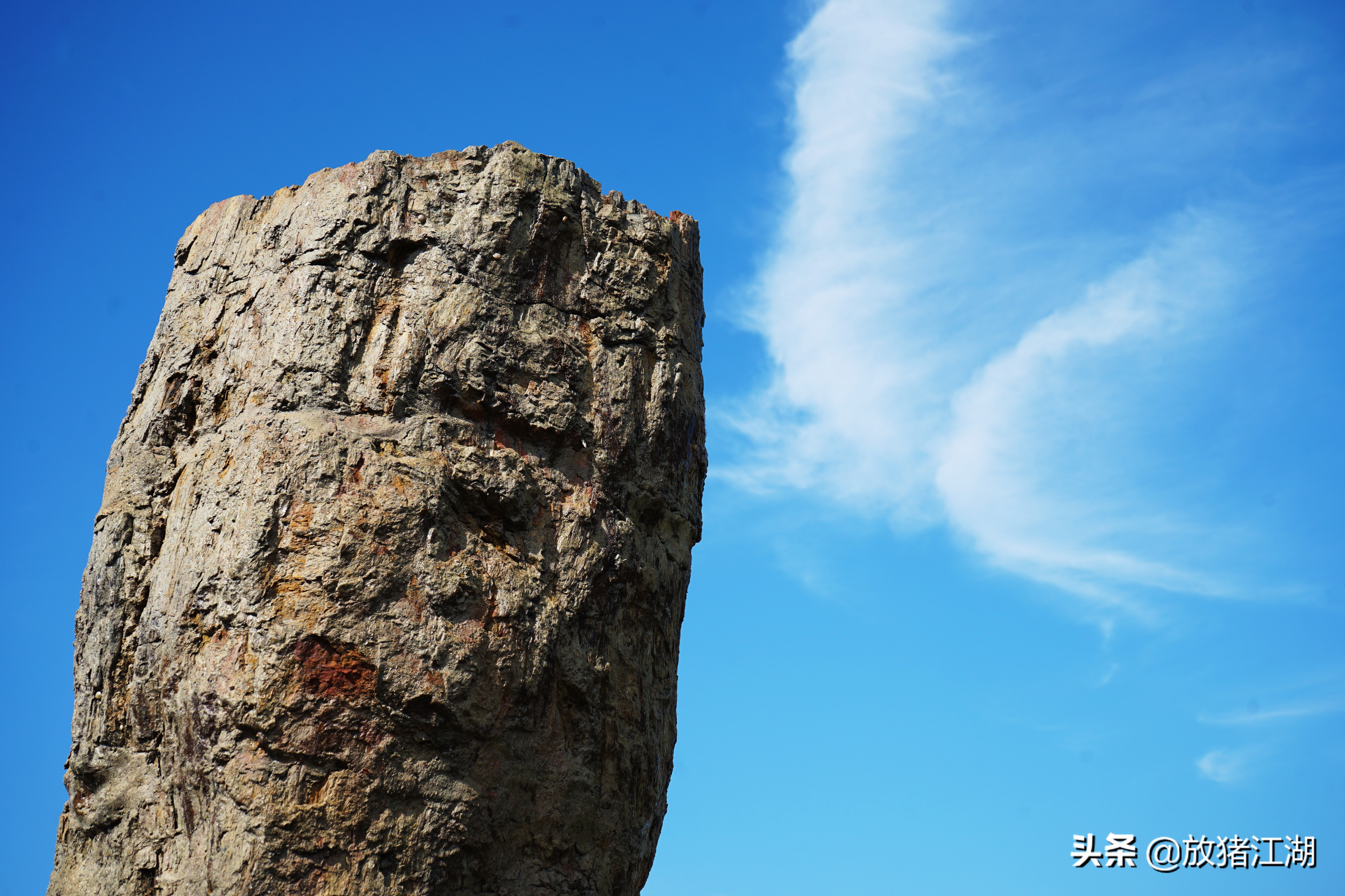 不要怀疑，威海公园中的这些木化石都是真品