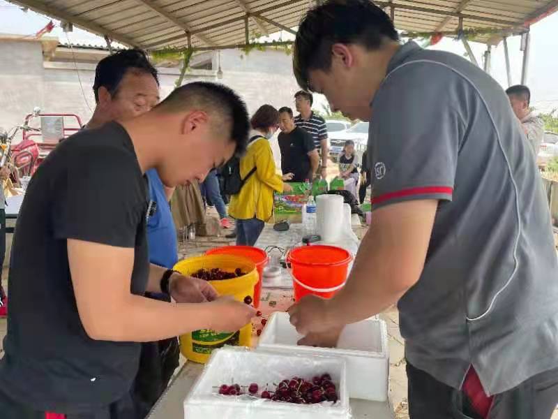 樱桃顺丰空运冷链到家,樱桃送货到家