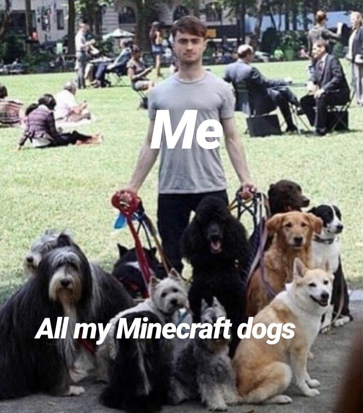 我的世界mc玩家,我的世界mc玩家是如何遇见him的呢