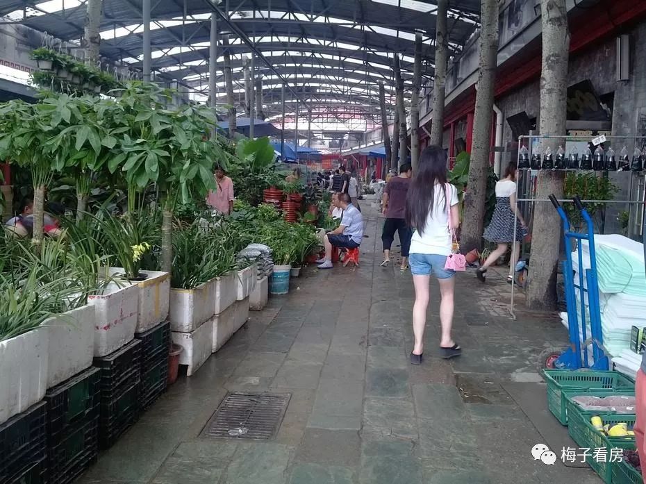 梅子谈保障房——十里河周庄嘉园