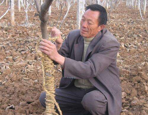瀵掓皵渚佃韬綋,瀵掓皵鍏ヤ镜浼氬鍔犺韩浣撴箍姘斿悧