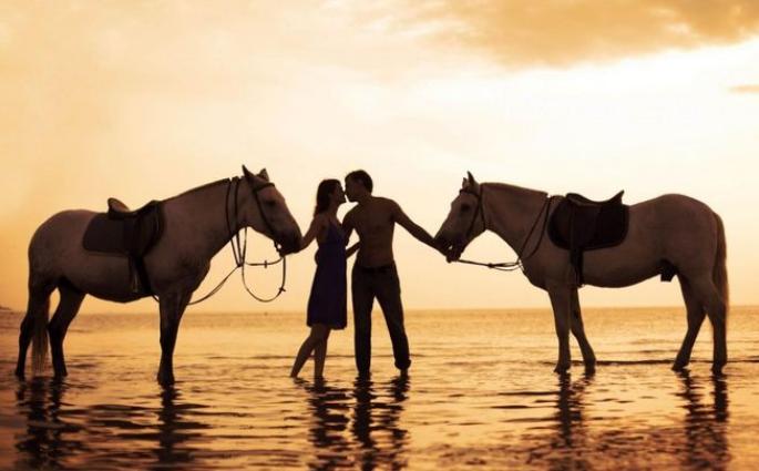 人生若只如初见这首诗叫什么名字,有关初见的唯美诗句