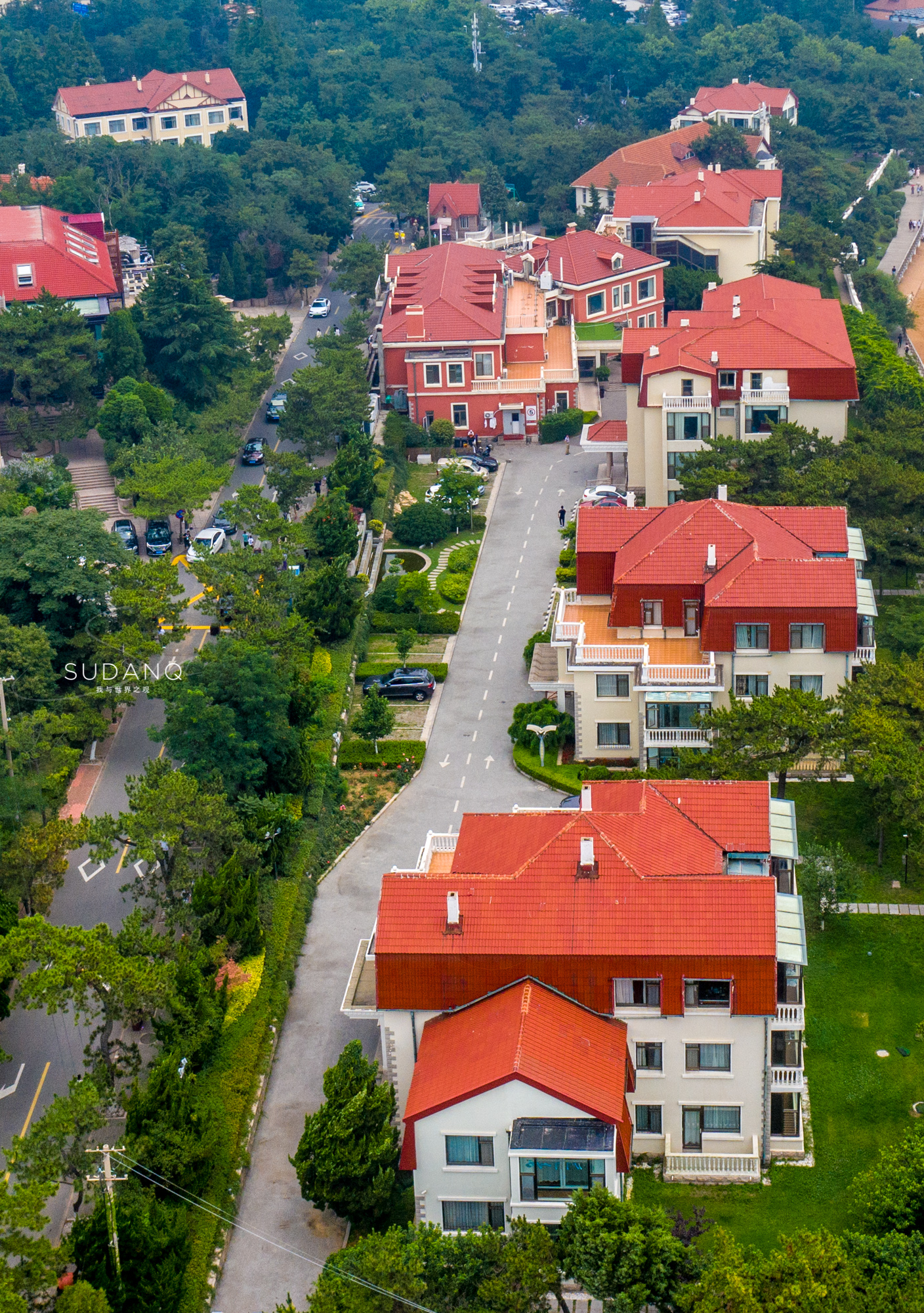 青岛是山东的省会,青岛经济超过山东的城市