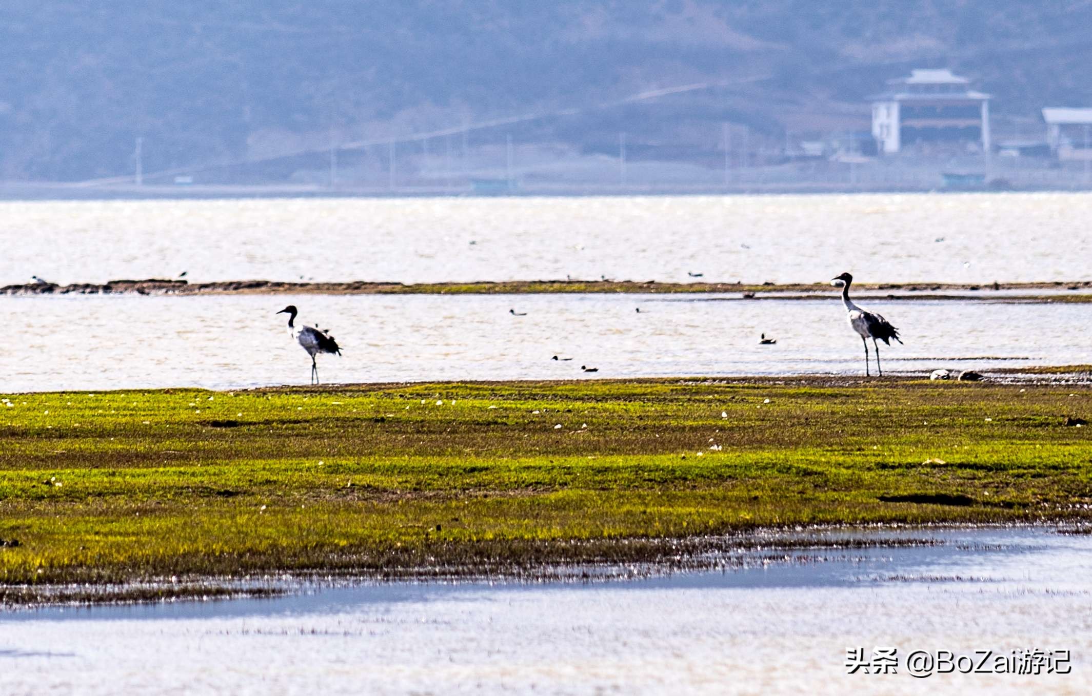 云南迪庆有哪些旅游景点,迪庆最值得去的景点有哪些地方