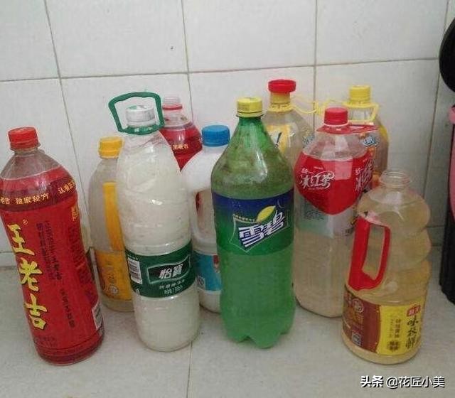 绿萝叶子上有铁锈点,绿萝上面有灰怎么办