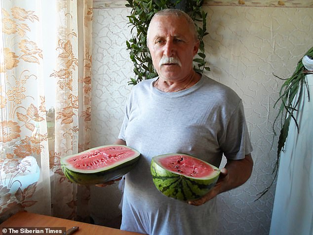 被棕熊咬死的俄罗斯人,俄罗斯一女子被棕熊活活咬死