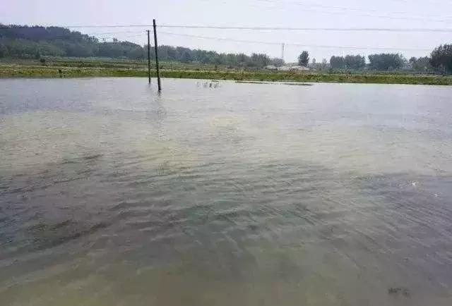 根据水花判断水深,池塘水色辨别及调控图解