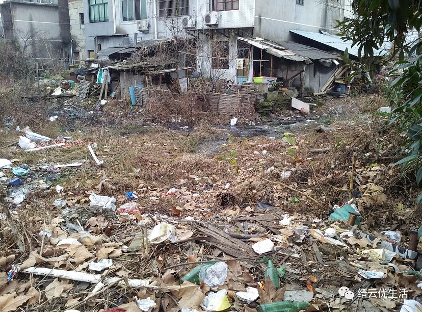 壶溪明珠——六百年官昌塘，历经沧桑变幻