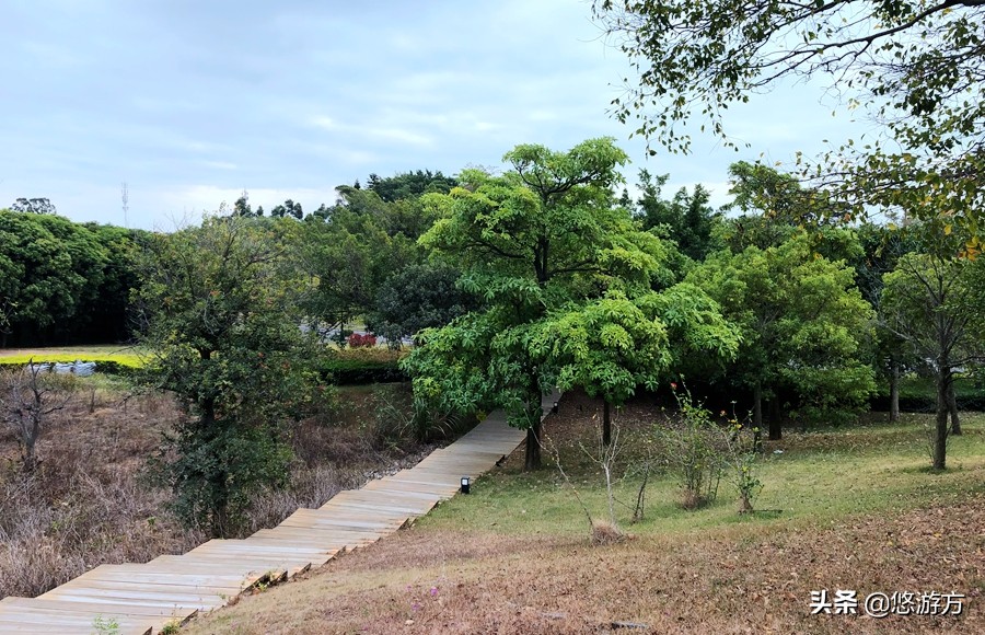 厦门海悦山庄酒店平面图,厦门海悦山庄旅游详解