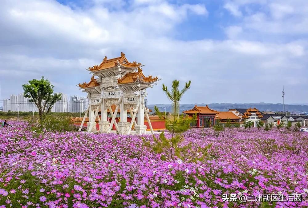 毕业季青春不散场梦想再起航,毕业季青春不散场归来仍是少年