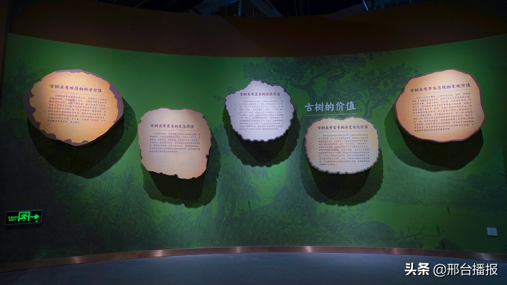 邯郸园博园值得一去吗,是什么限制了我的想像