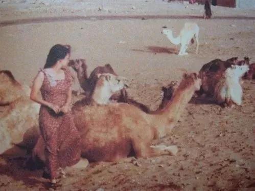 三毛流浪记原版,三毛的流浪记照片