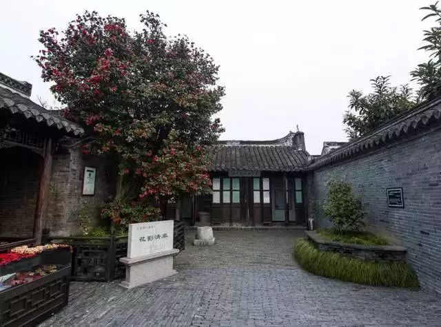 北方庭院种植景观树,庭院四季常青的景观树