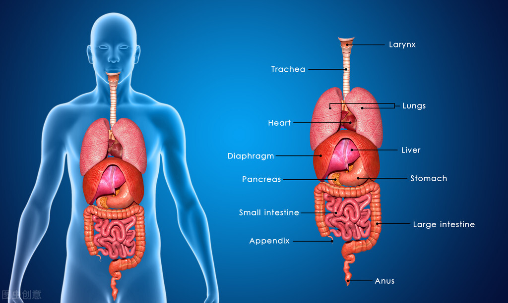 打封闭止痛快？去骨刺不再痛？骨关节炎患者止痛需避开四大陷阱