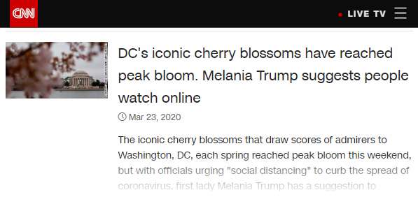 新版樱花英文,樱花的英语日语怎么说