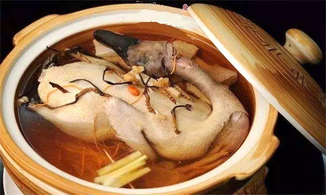 冬虫夏草西洋参吃法,虫草西洋参的最佳吃法