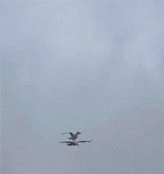 “如果这群女混混*攻围**我,我会舌战群儒!”你会怎样脱困?