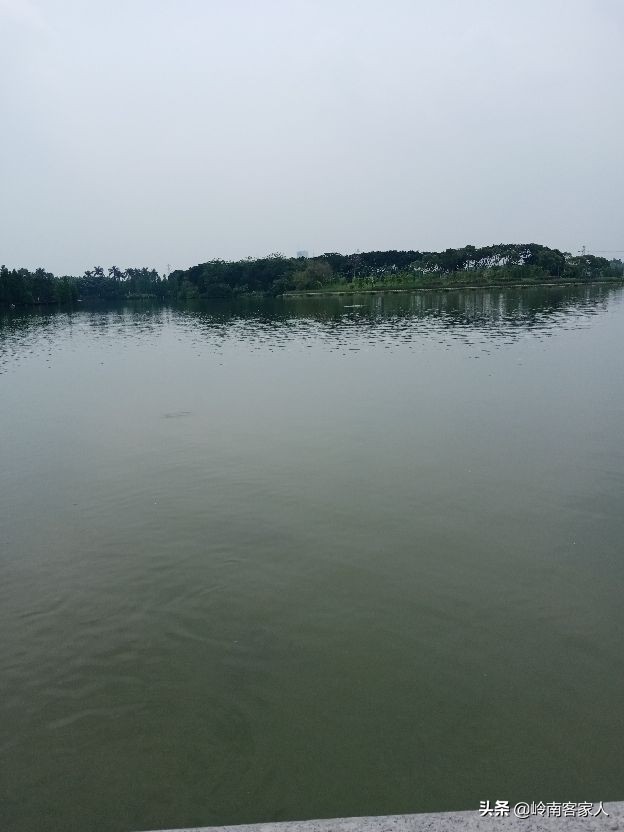 海珠湖公园和海珠湿地公园一样吗,海珠湖国家湿地公园开放时间