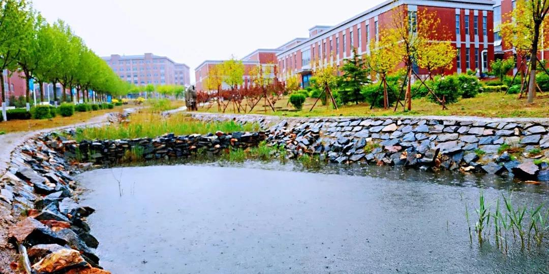 民办学校大连艺术学院全国排名,大连艺术学院辽宁排名