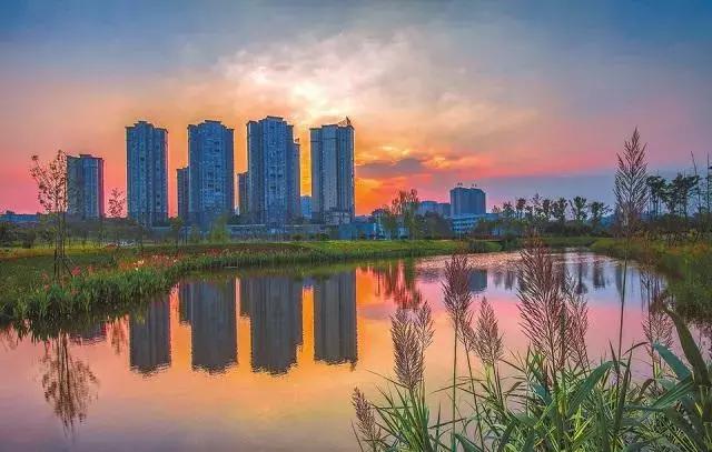 全球启动！仁寿城市发展再升级，牛牛牛！