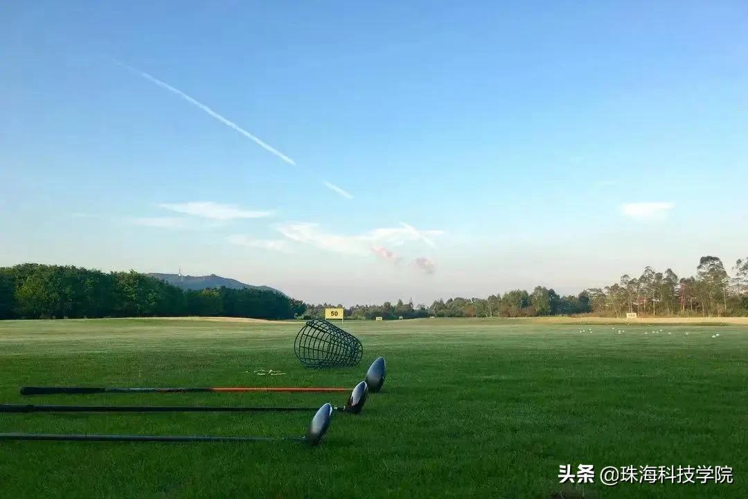 读一所校园环境和学习氛围全方位一流的大学是什么体验？