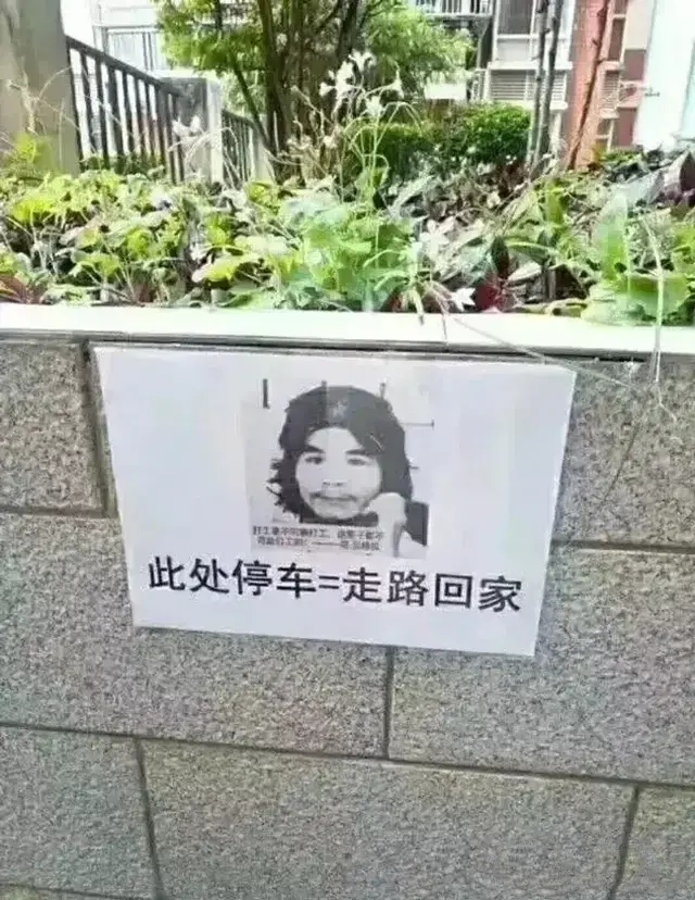 颤抖吧电视剧2在线观看,颤抖吧2