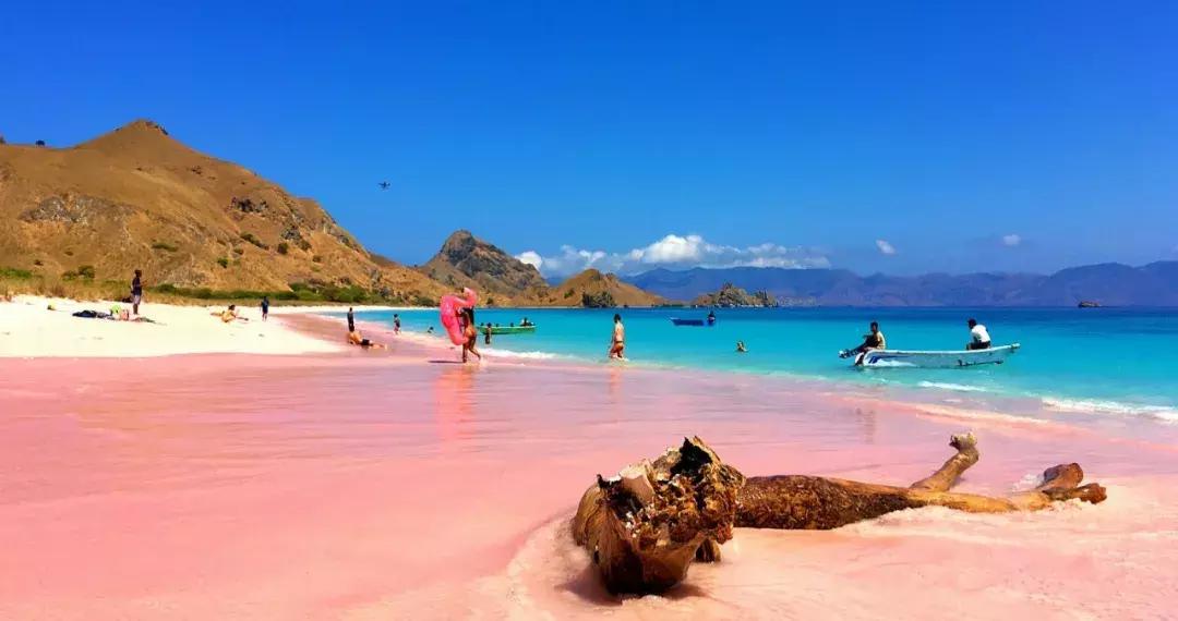 科莫多龙国家公园旅游攻略,科莫多沙滩旅游攻略