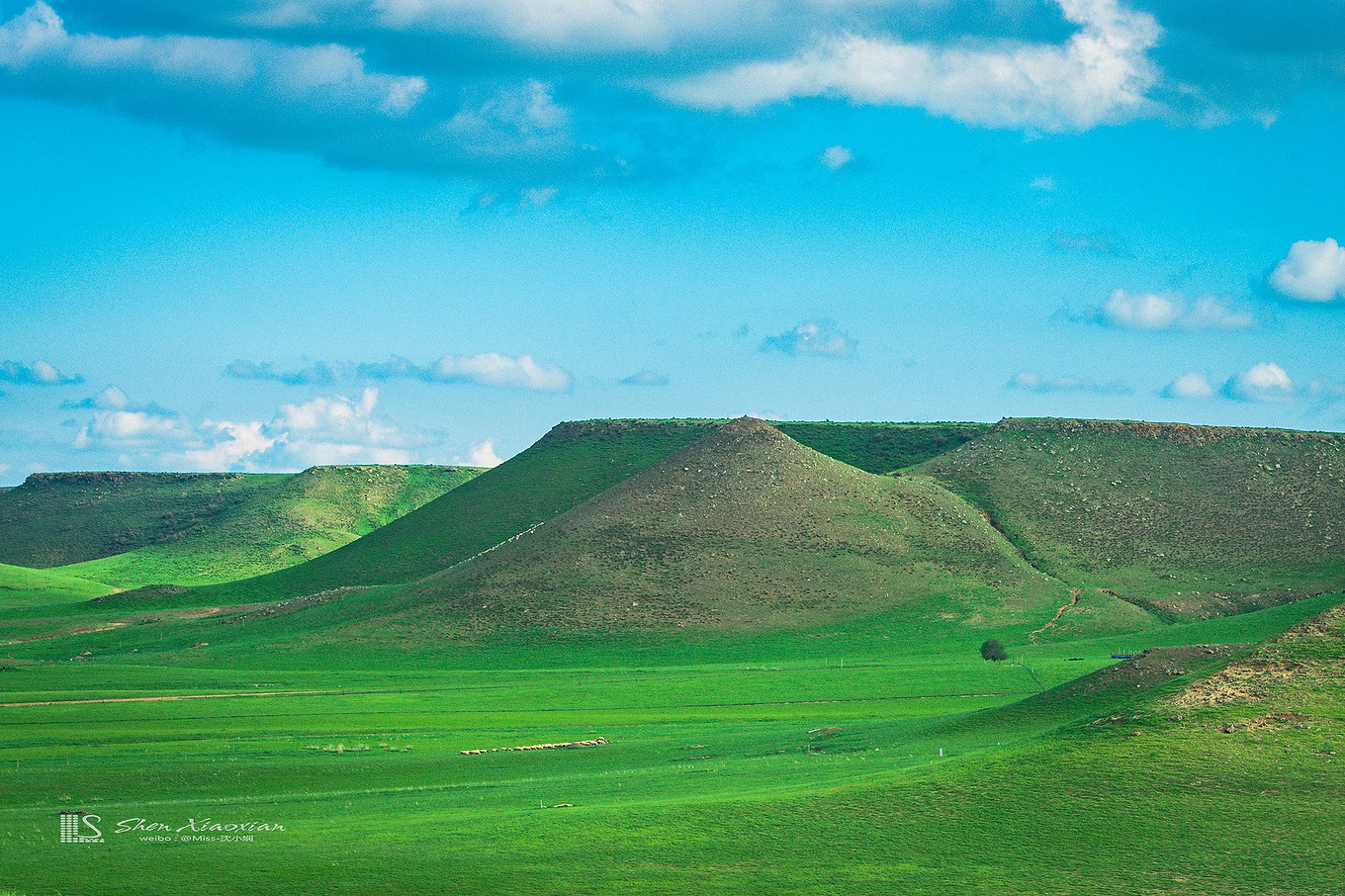 八月的锡林郭勒,8月的锡林郭勒