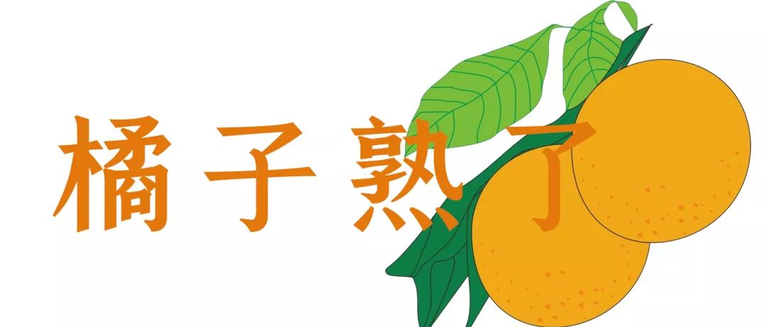 快来摘“喝”矿泉水长大的橘子石榴啦