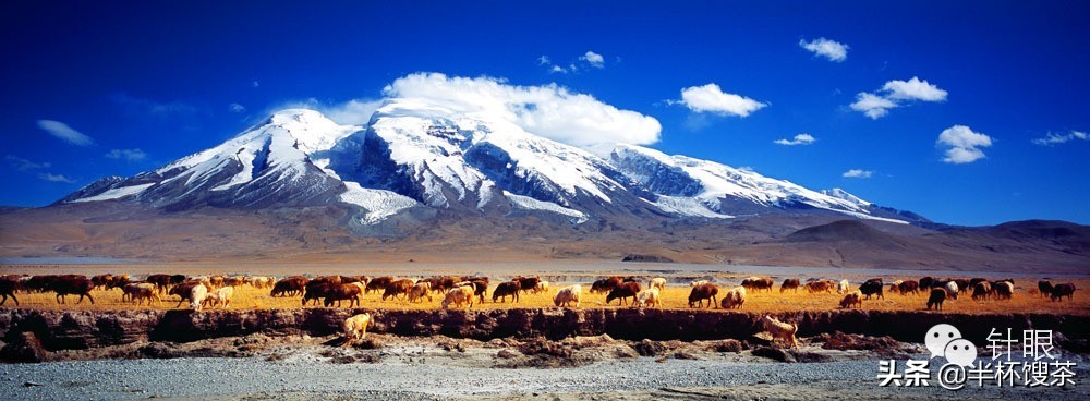 稳定西部发展,稳定东部发展西部