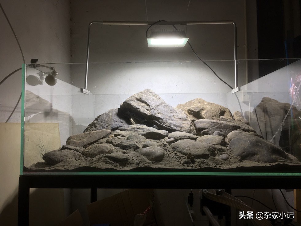 原生缸加热推荐,不用过滤器的原生缸