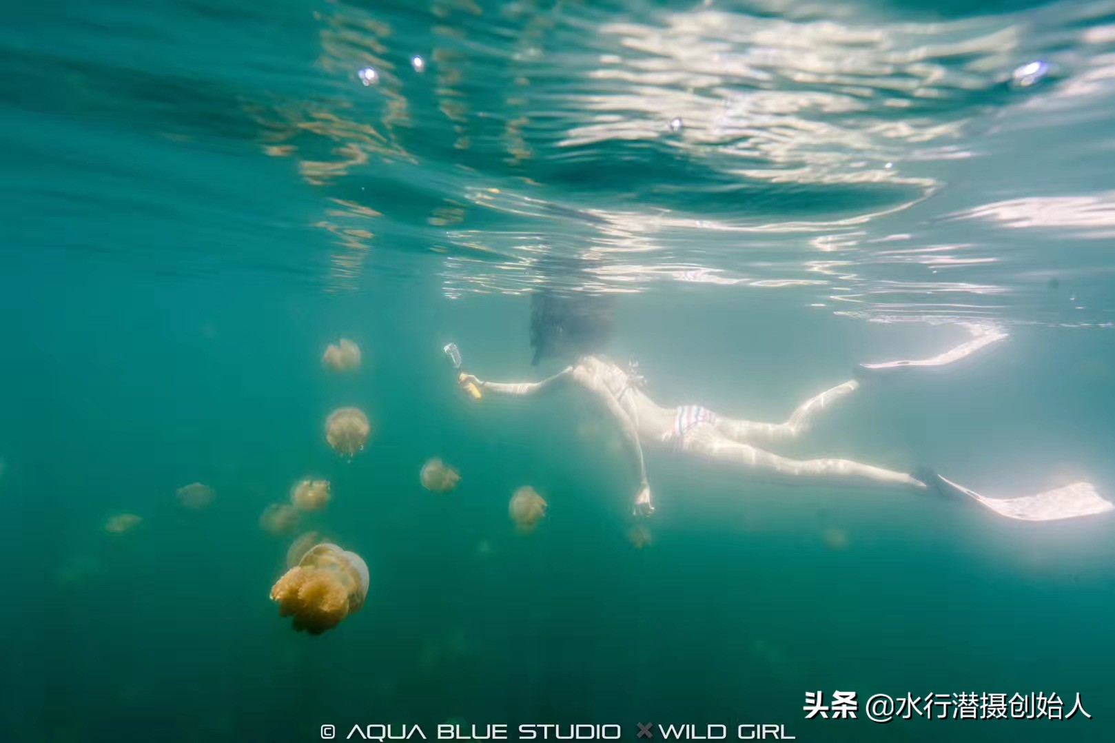 帕劳岛自由行潜水,帕劳水母湖自由潜视频