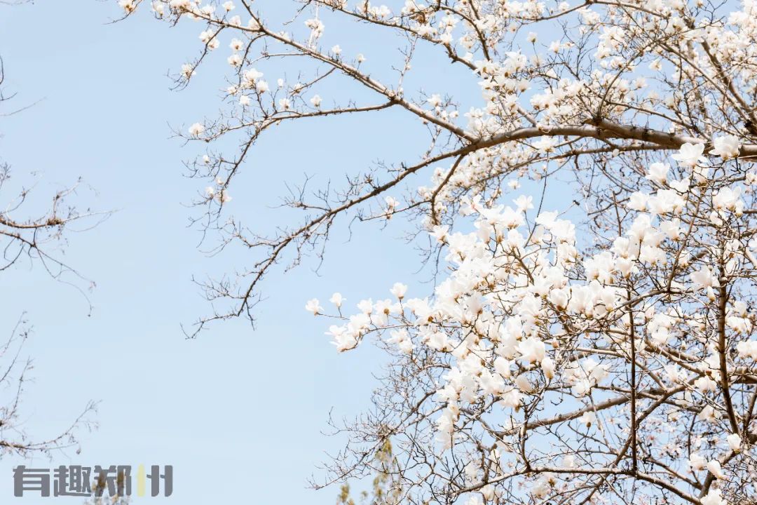 人在郑州|复工第51天,依旧没闲钱买杯咖啡